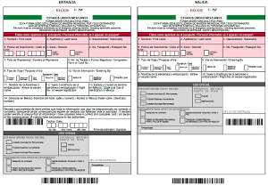 mexico fmm tourist card ejemplo
